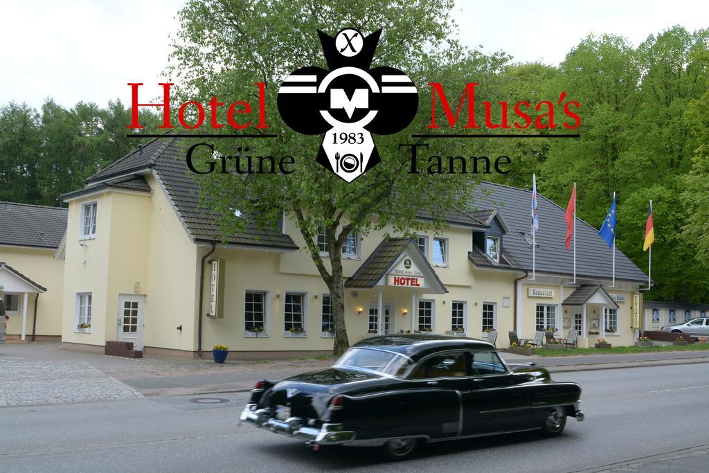 Отель Gruene Tanne 3*